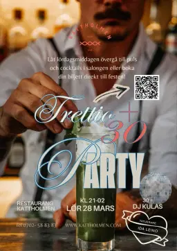30 Plus på Kattholmen