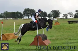 Ivesley Show Cross and Hunter Trial