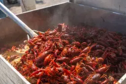 6th Annual Crawfish Festival