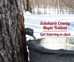 Schoharie County Maple Festival