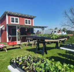 7th Annual Plant Sale