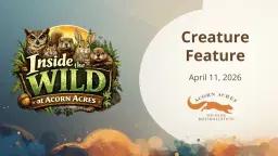 Creature Feature - Inside the Wild at Acorn Acres