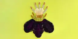 Vernissage Nära marken