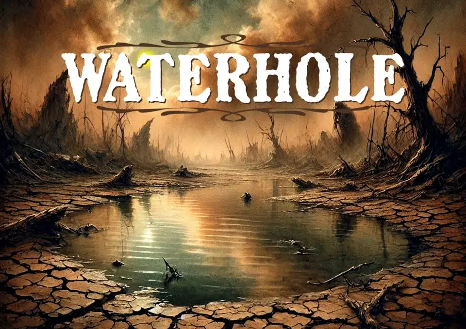 WATERHOLE - Live på Musikhuset Sjömanskyrkan!