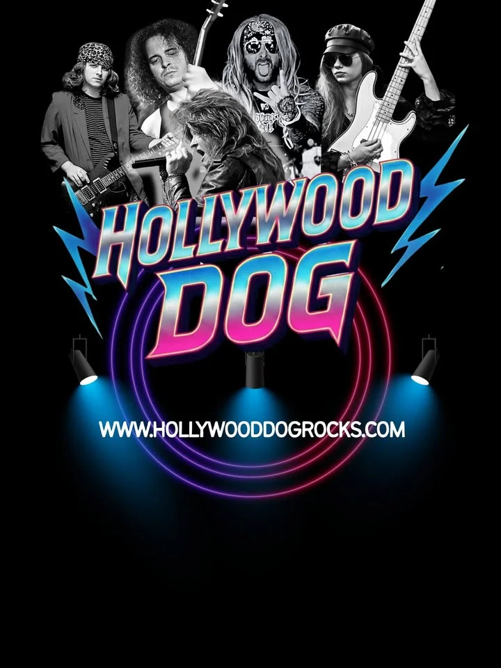 Hollywood Dog - Lexington, KY