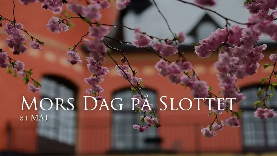 Mors Dag-Afternoon Tea på Lejondals Slott