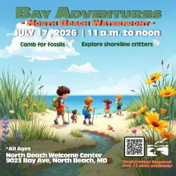 Bay Adventures - North Beach Waterfront