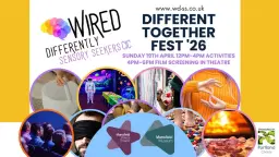 Different Together Fest '26