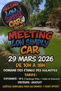 meeting low simply car