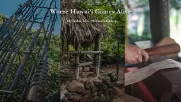 Waimea Valley's Earth Day