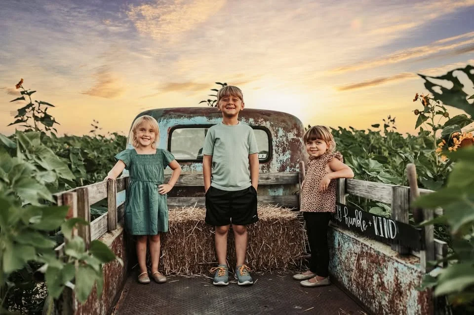 Sunflowers & Sunsets