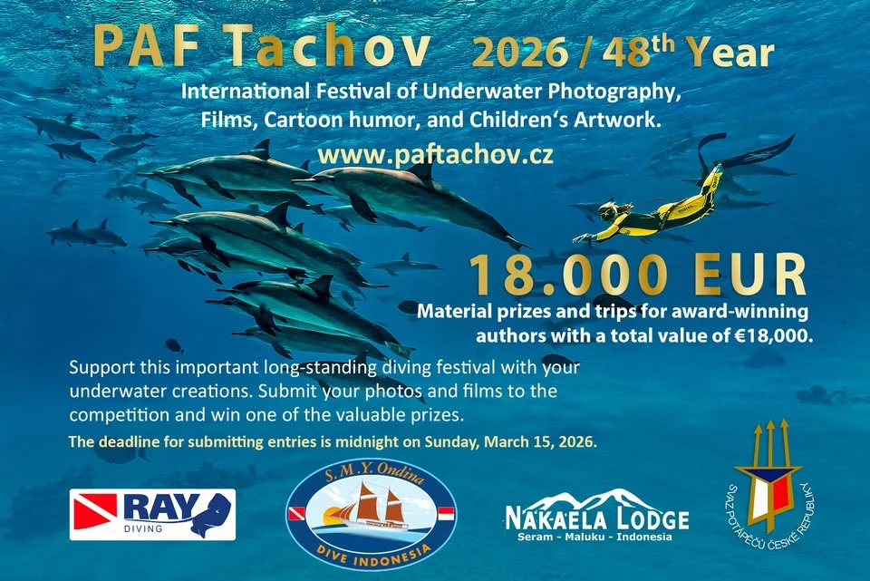 International Festival of Underwater Photography, Films, Cartoon humor, and Children‘s Artwork.