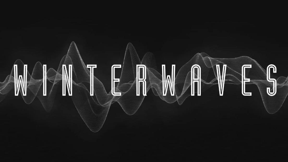 Winterwaves 2026 : An Electronic Festival