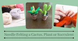 Felted Plants = Stab Wool + Shape a Cactus, Plant or Succulent + Plant It in a Pot