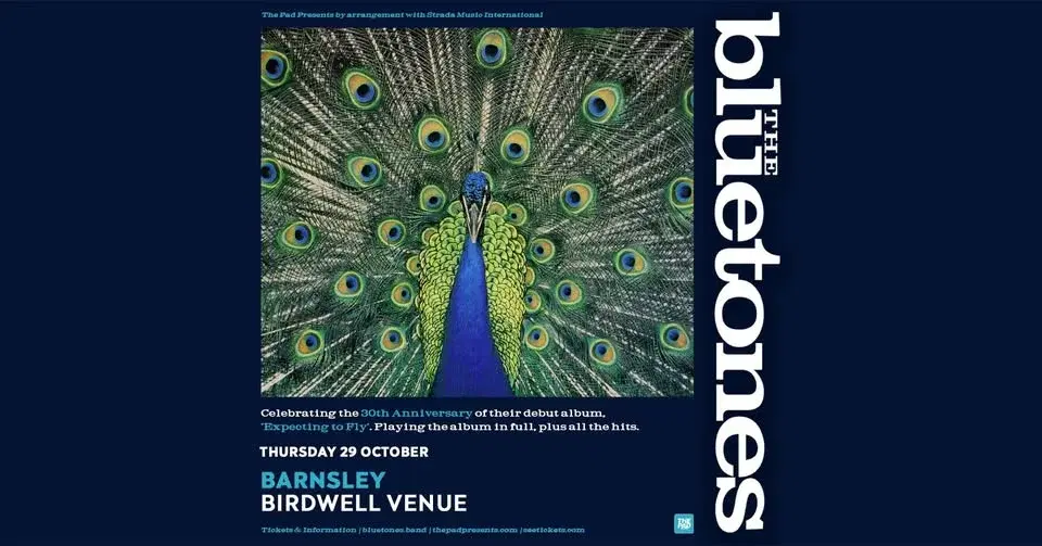 The Bluetones | Birdwell, Barnsley - Expecting To Fly 30th Anniversary Tour