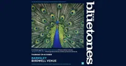 The Bluetones | Birdwell, Barnsley - Expecting To Fly 30th Anniversary Tour
