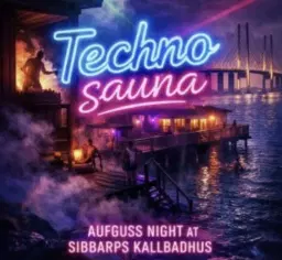Techno Sauna