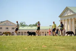 CaniKačinaCross 2026