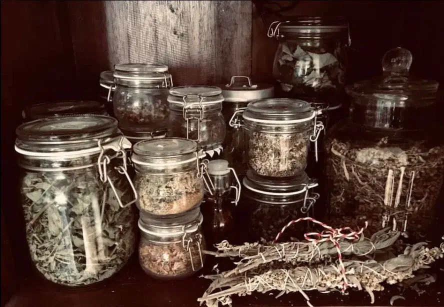 Skapa ditt eget örtapotek, lär dig om läkeväxter