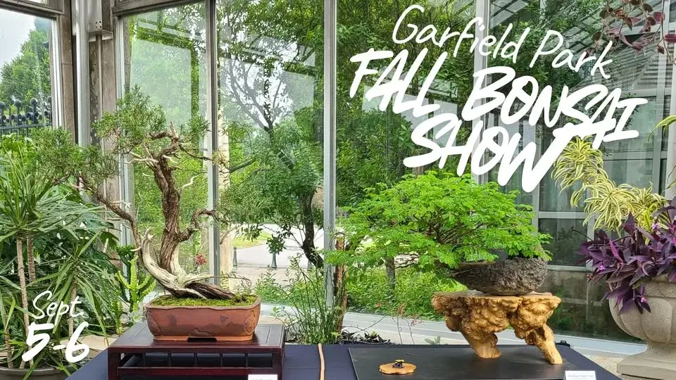 Garfield Park Fall Bonsai Show