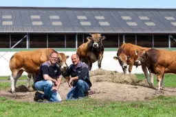 Open dag bij Vleesboerderij Masseurs!