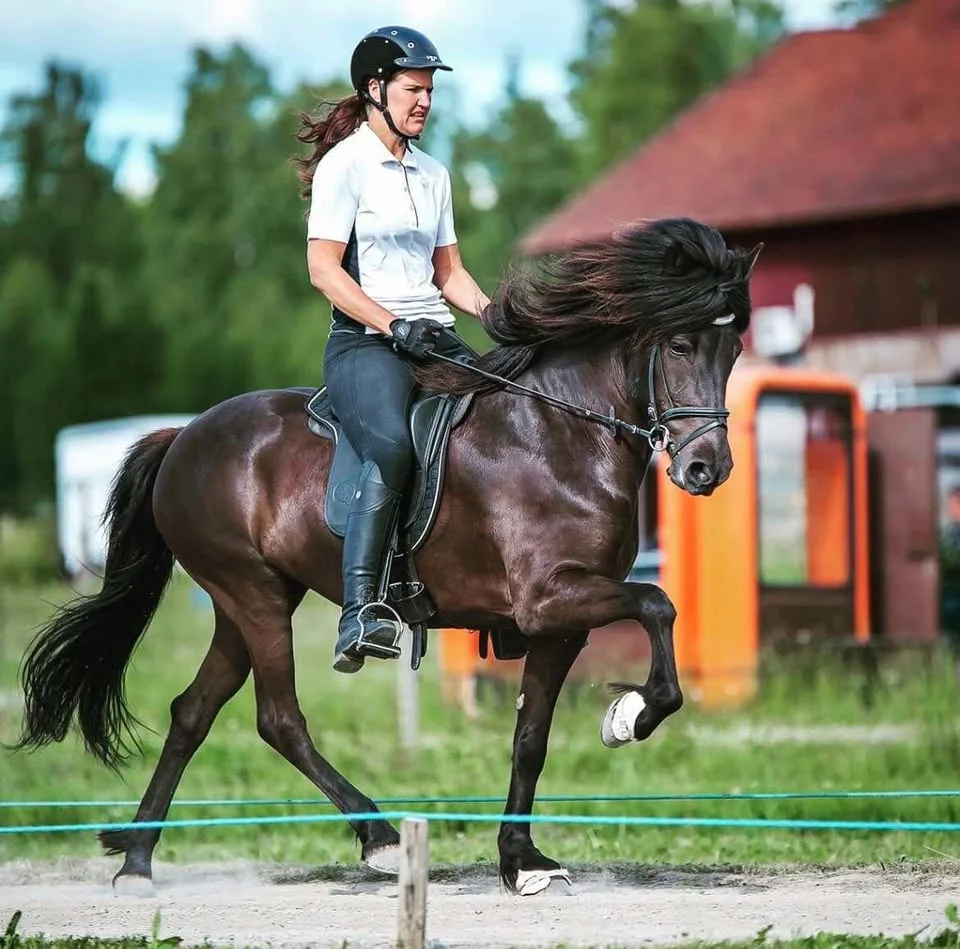 Lektioner på Halvegården för Åsa Nevander Holmén