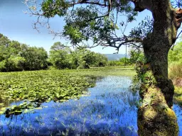 TrekinTurkey İle Doğa & Tarih : KAPIDAĞ YARIMADASI VE KARACABEY LONGOZU 11-12.4.2026