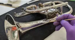 🔬 🔎 Conservation in Action