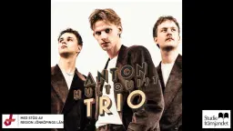 Blueskväll med Anton Hultquist Trio