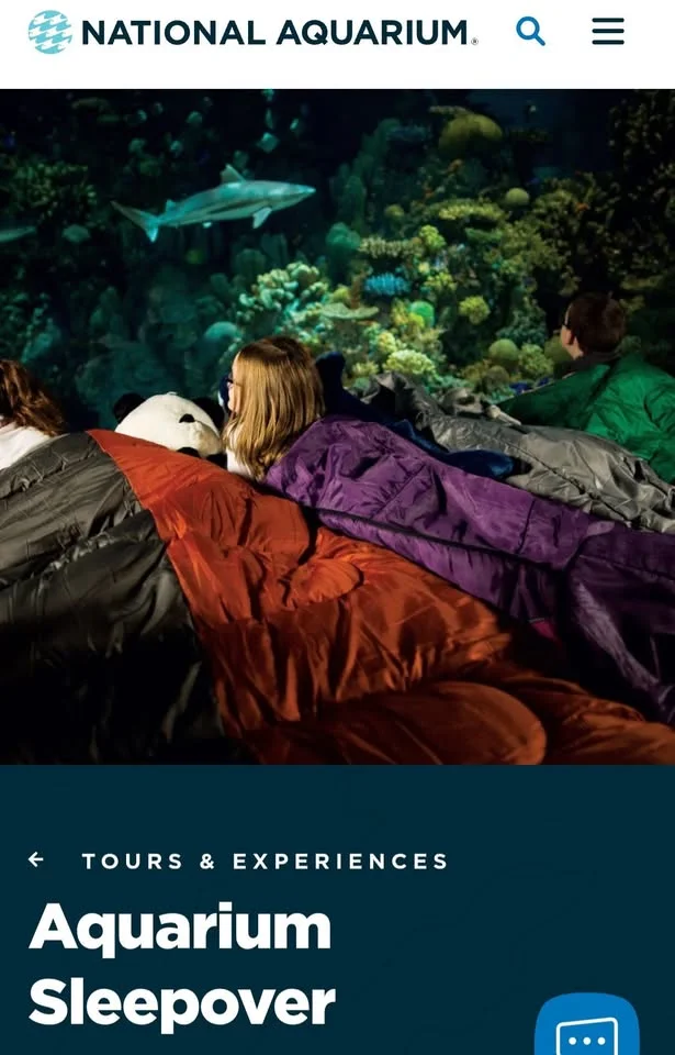 Baltimore aquarium sleepover