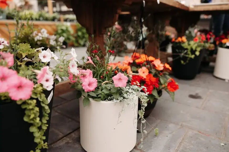 5th Annual Spring Market