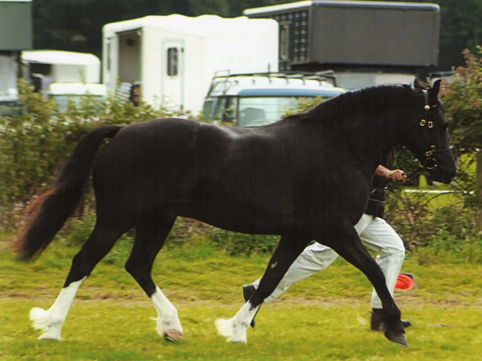 M. S. Charity Show 2026