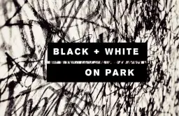 BLACK & WHITE ON PARK 2026