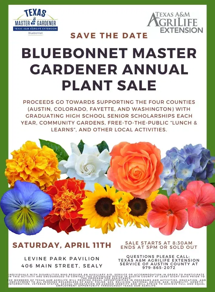 BMGA Annual Plant Sale