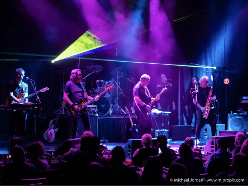 House Of Floyd~Stung at Vinnies