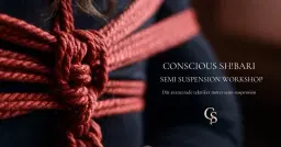 Sh!bari: Semi-Suspension workshop