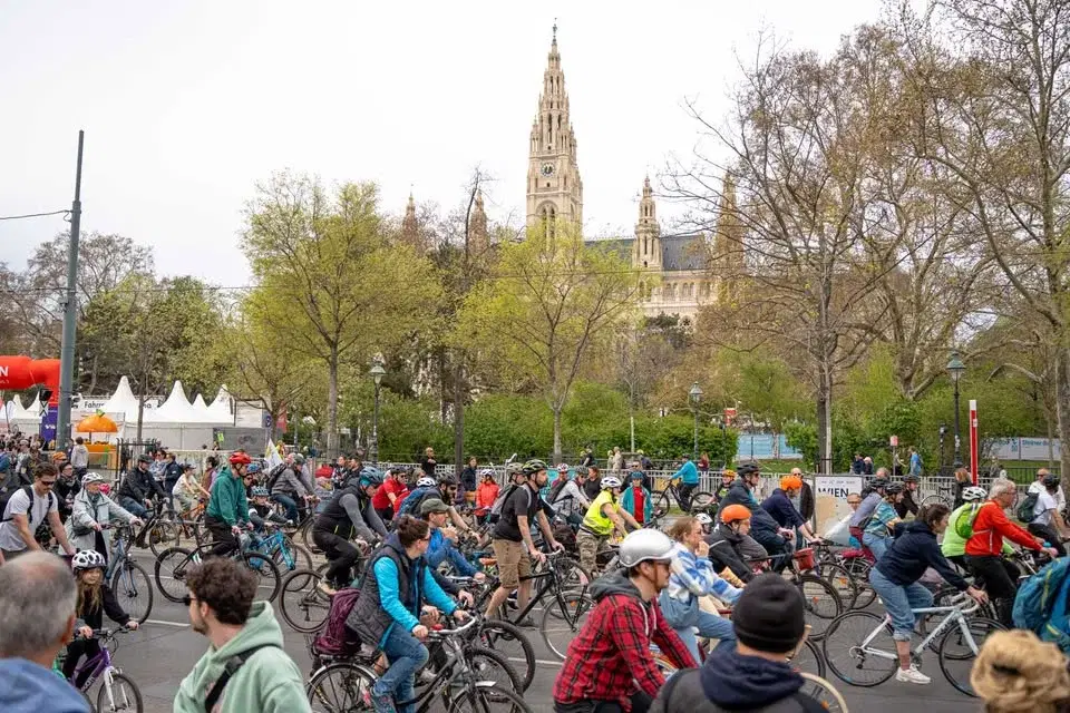 15. Wiener RADpaRADe