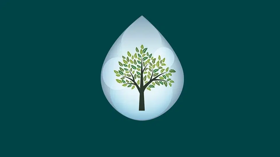 Du varma nya värld - vår hälsa i ett förändrat klimat