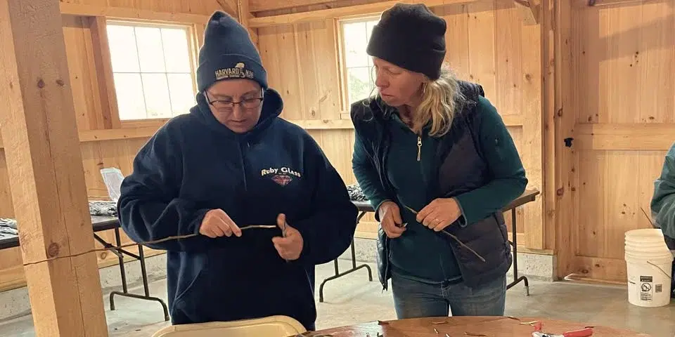 Fruit Tree Grafting at Viles Arboretum
