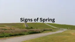 Signs of Spring