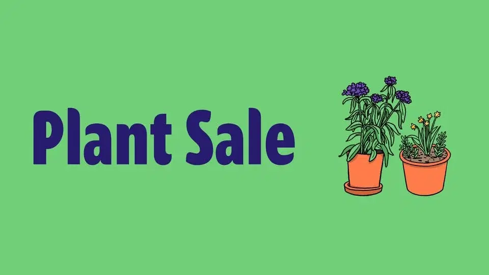Plant Sale