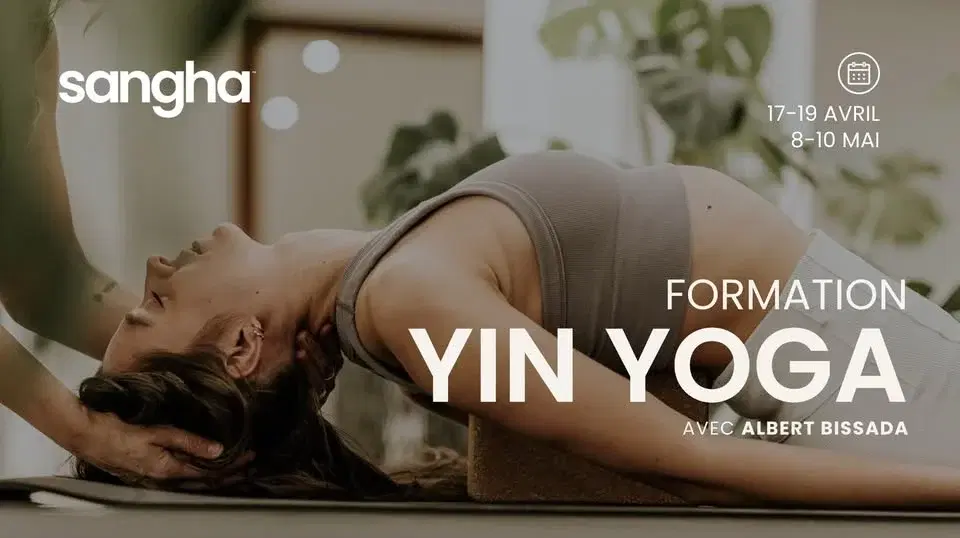 Formation YIN YOGA | Avec Albert Bissada