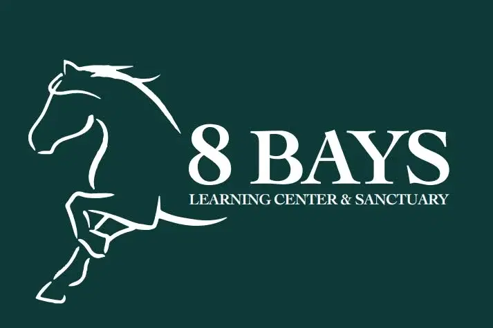 Spring Benefit Bingo