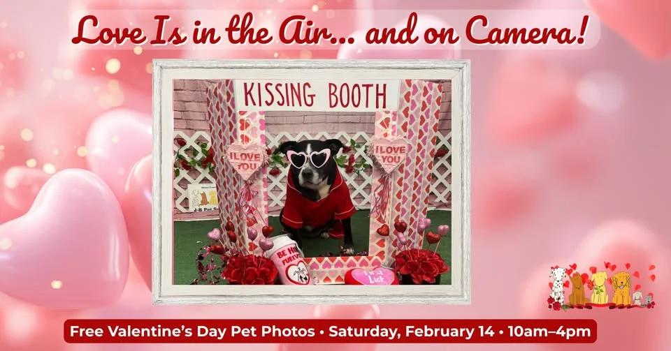 Free Valentine's Photos for Pets