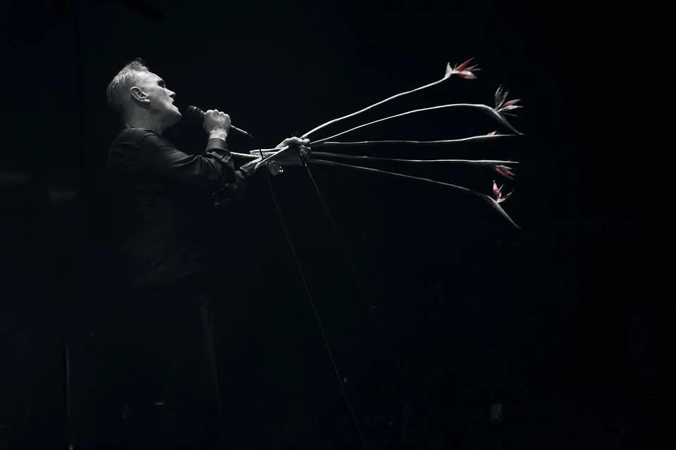Morrissey