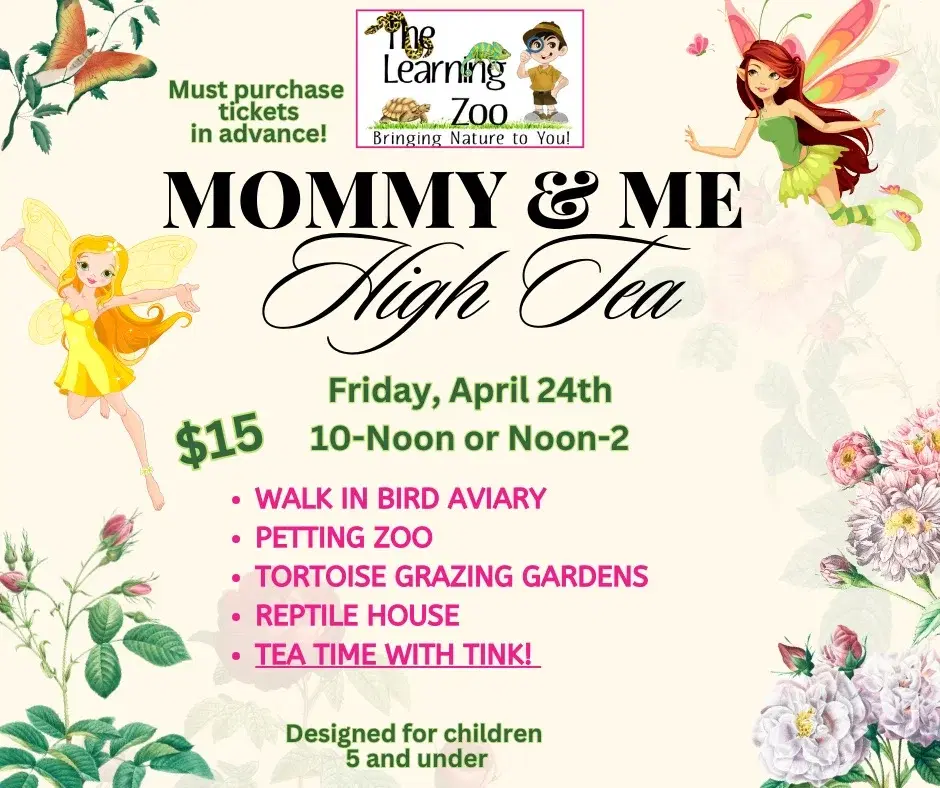 Mommy & Me Tea Time with Tink