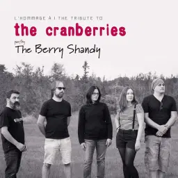 Hommage à THE CRANBERRIES - Par The Berry Shandy