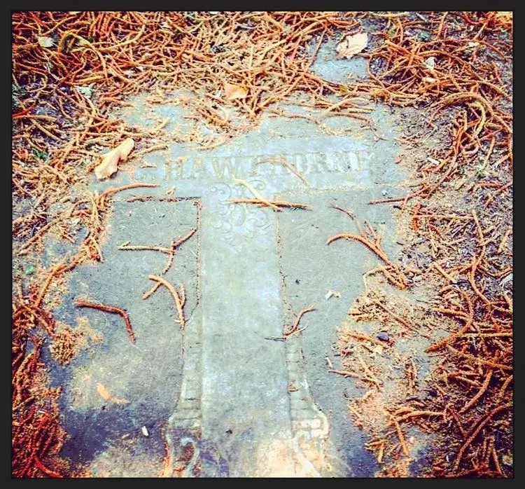 Guided Tour: Women from Lone Fir Cemetery’s First 100 Years