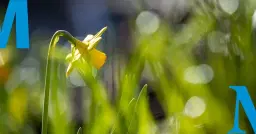 Påsklov på Malmö museum