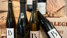 Tysk og Østrigsk vinsmagning